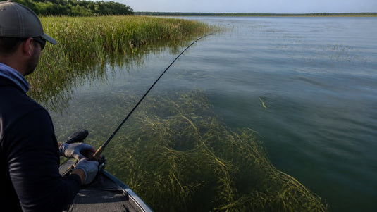 Bass Trolling Around Grass