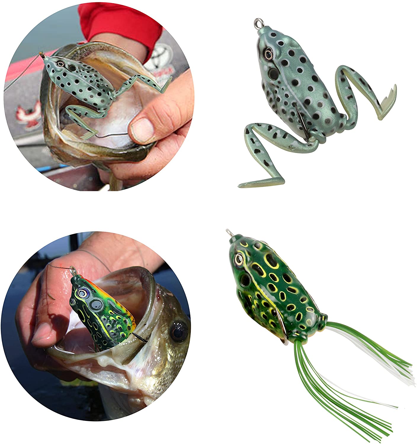 Fisherking Blister Bullet Fishing Frog at Rs 130/piece