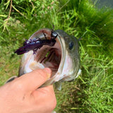 craw baits