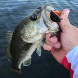 soft baits