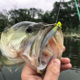 swimbaits